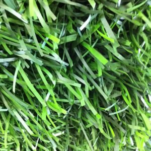 Kunsthaag Super Green