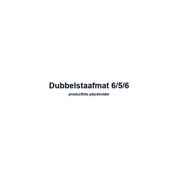 Dubbelstaafmat 6/5/6