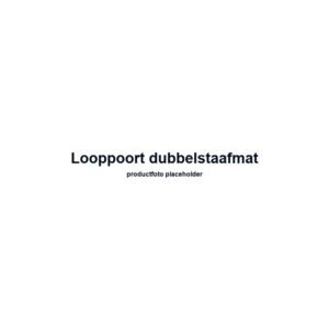Looppoort dubbelstaafmat 6/5/6