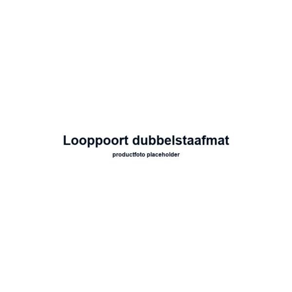 Looppoort dubbelstaafmat 6/5/6