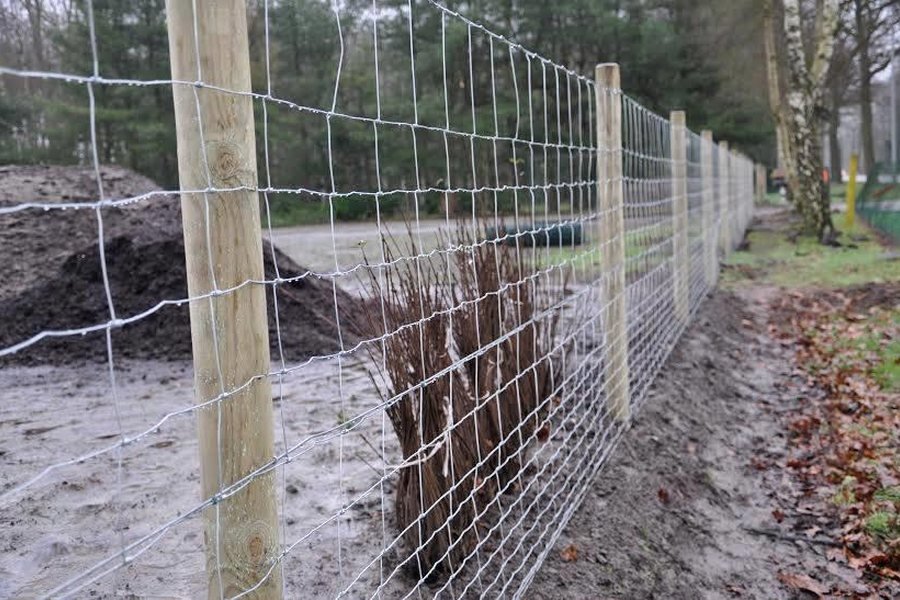 Ursusdraad voor schapen